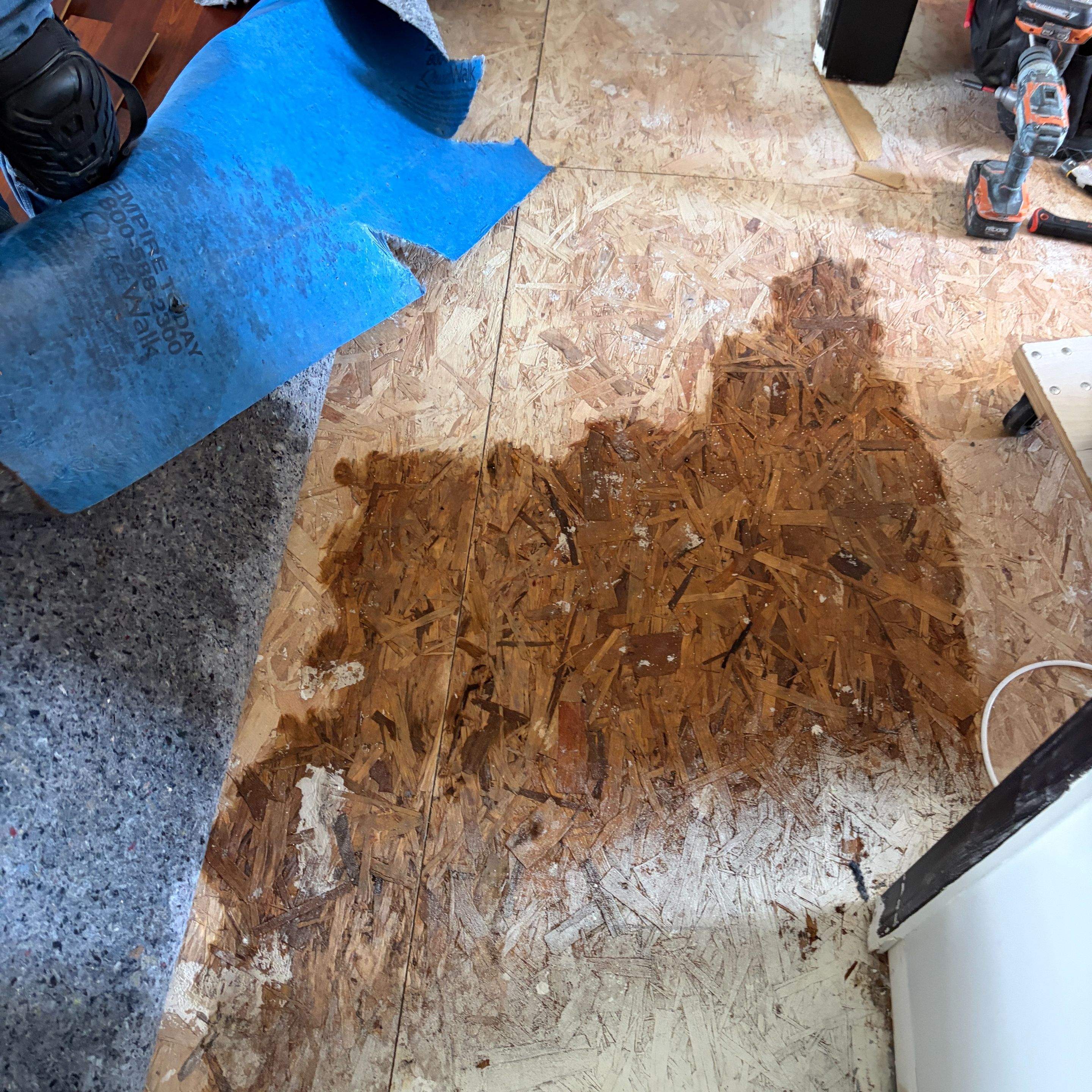 Water Damage Company Near Me: How to Choose in Cambridge City